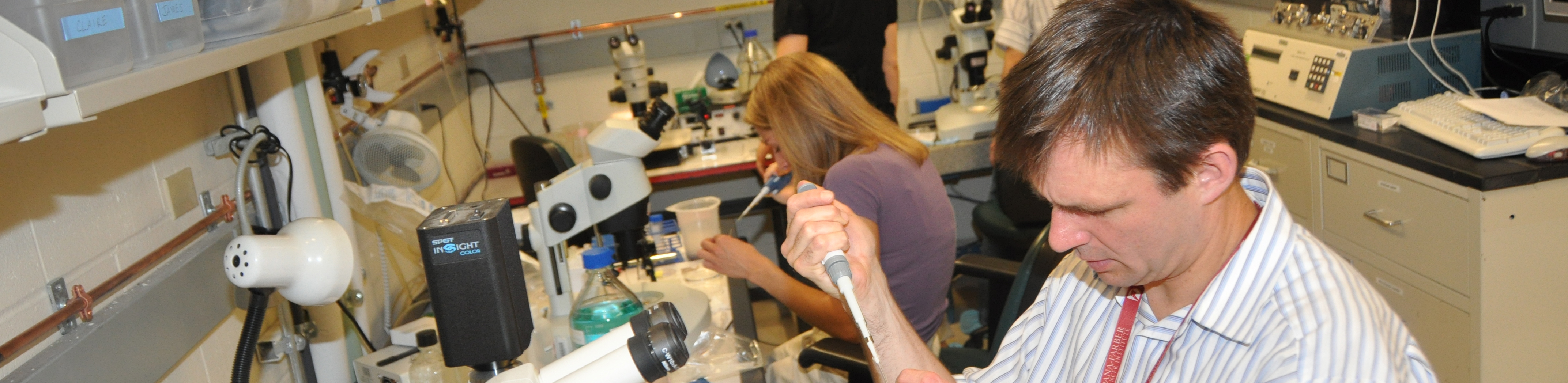 Working in lab