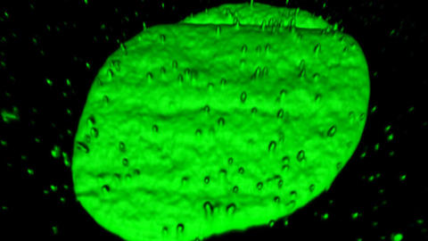 DNA blob