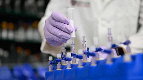 researcher purple gloves