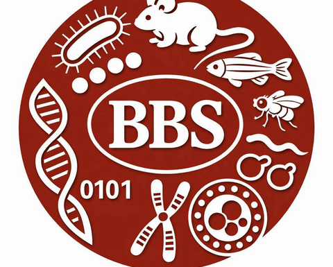 BBS